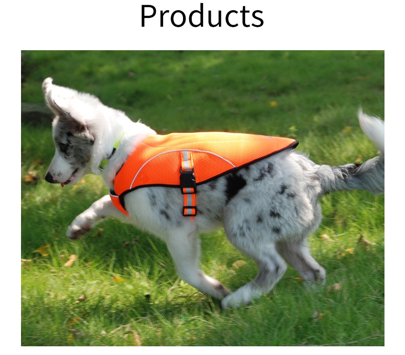 luxury dog clothes bag 9.jpg